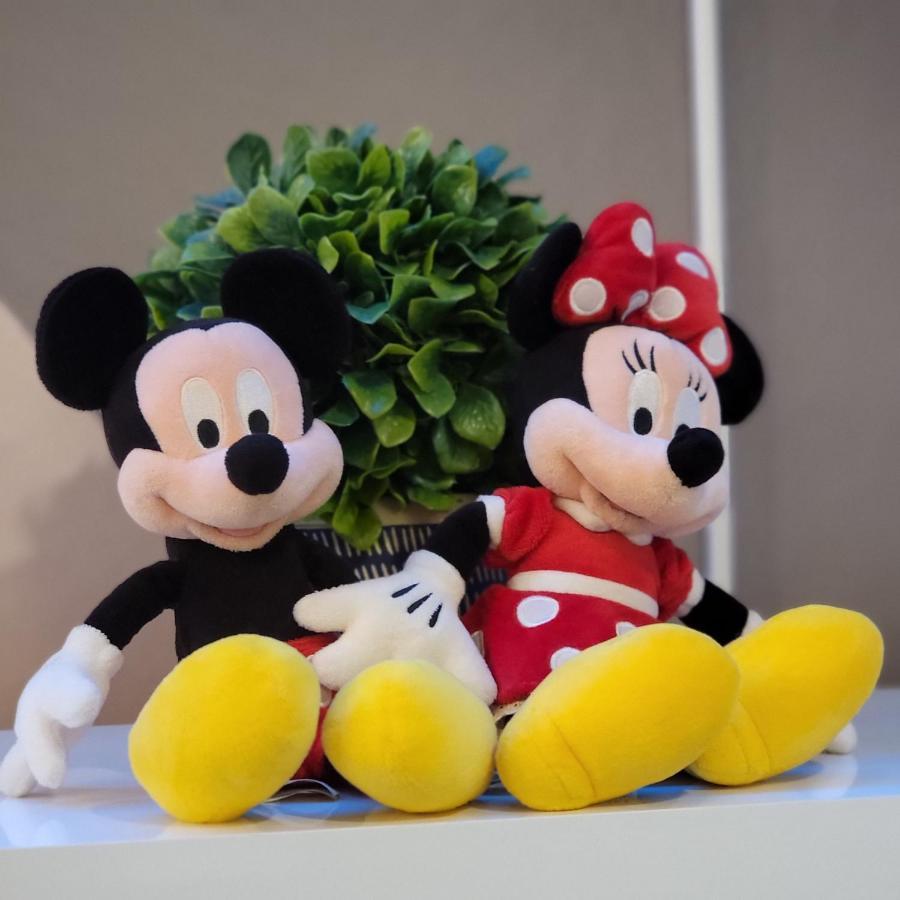 Winterfield At Disney 9350 คิสซิมมี ภายนอก รูปภาพ